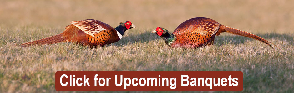 Colorado Pheasants Forever | Chapter Banquets 