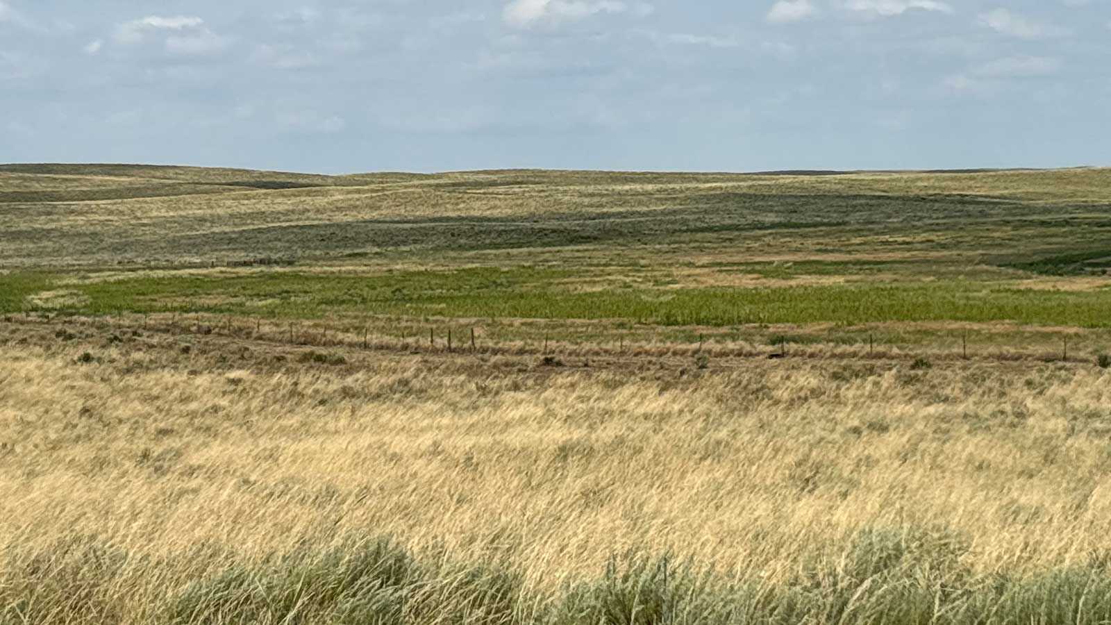 Colorado wildlife habitat property