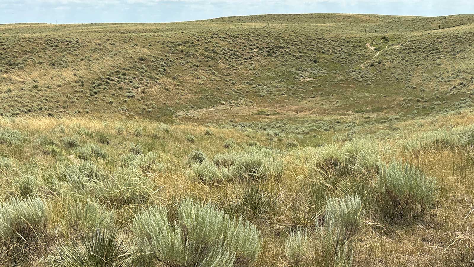 Colorado wildlife habitat property