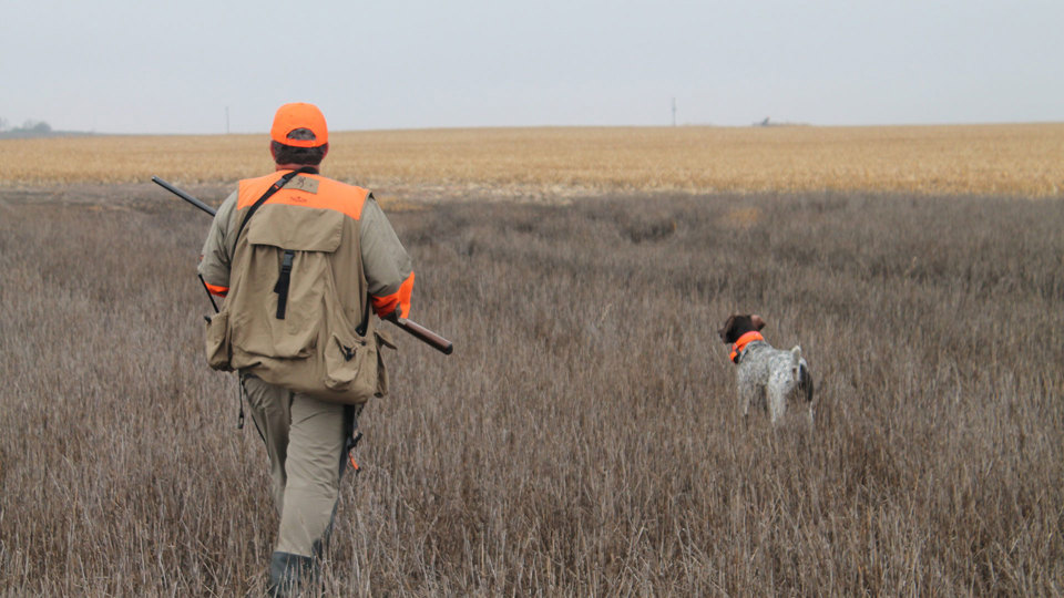 PF & QF Supports Amendment 83